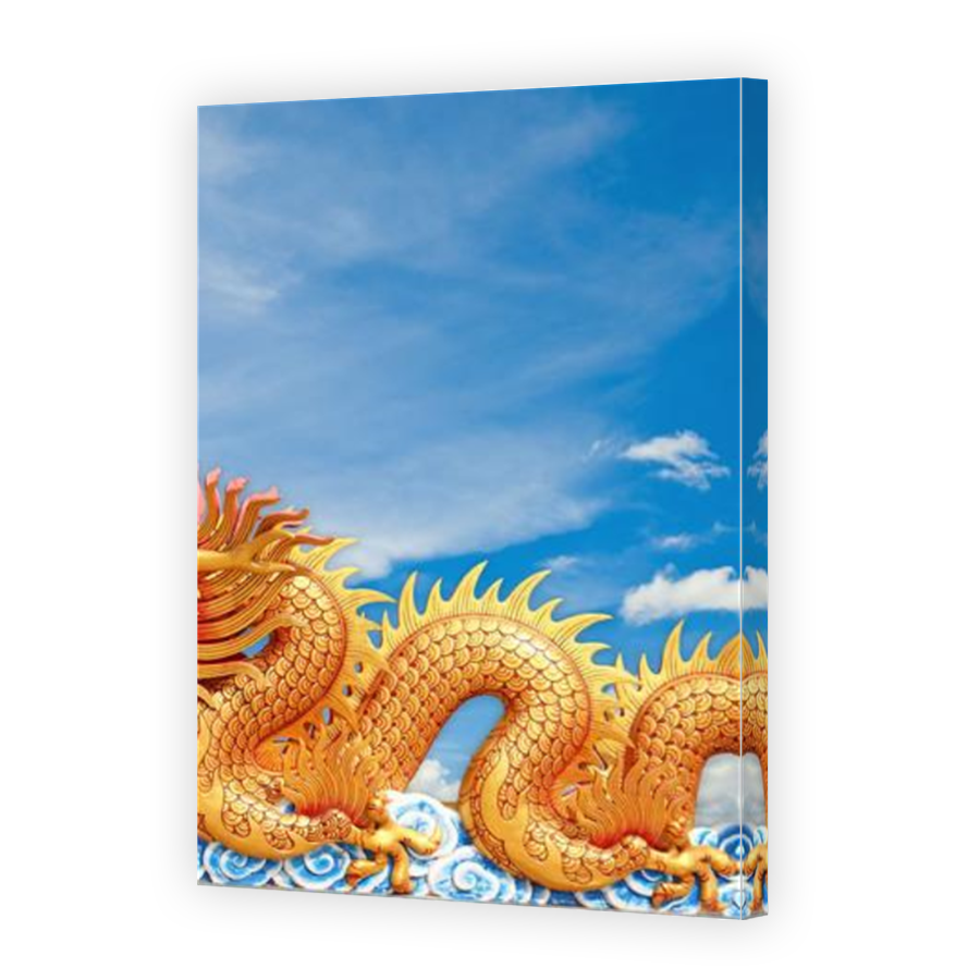 Thumbnail for Canvas - Mirror Image Canvas Wrap