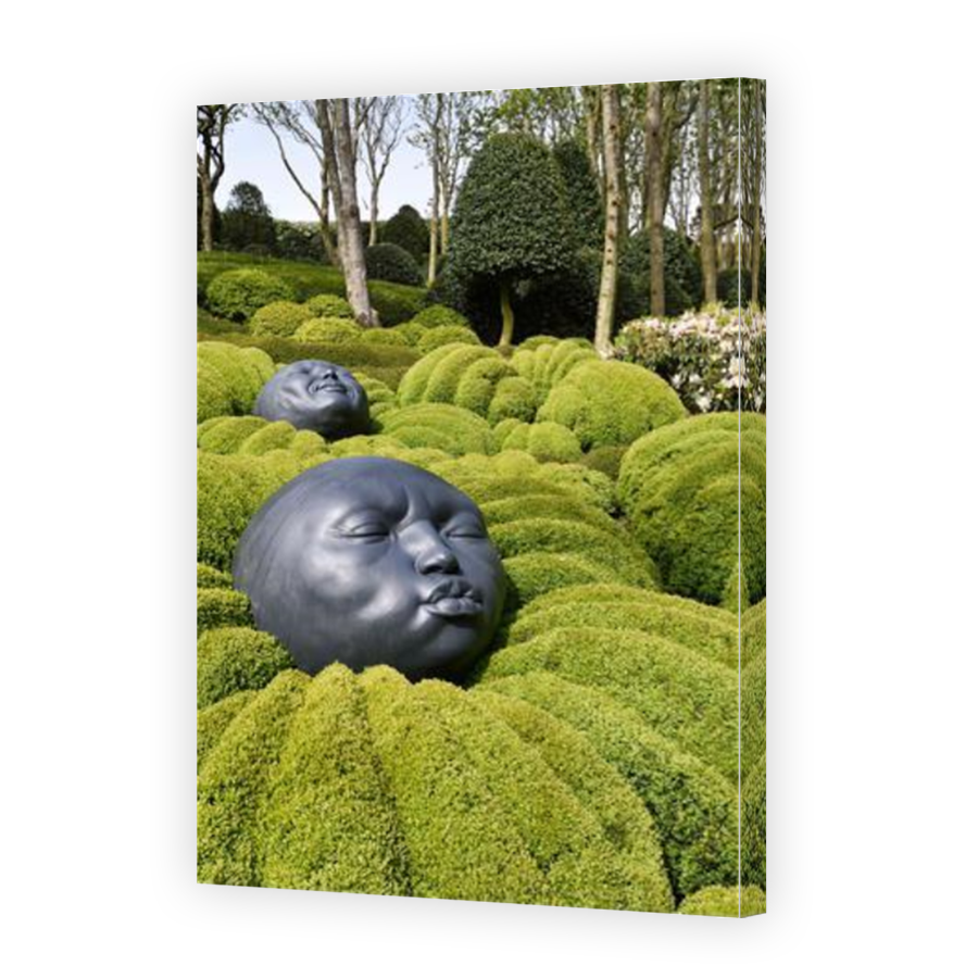 Thumbnail for Canvas - Mirror Image Canvas Wrap