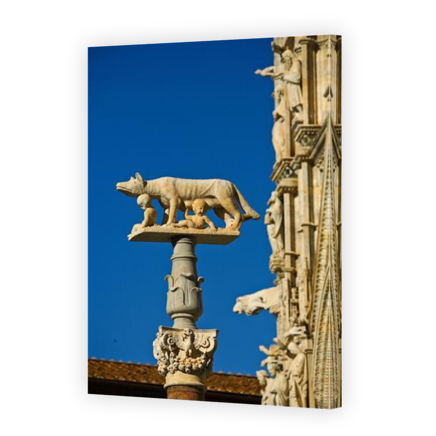Thumbnail for Canvas - Mirror Image Canvas Wrap