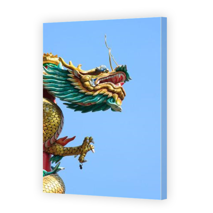 Thumbnail for Canvas - Mirror Image Canvas Wrap
