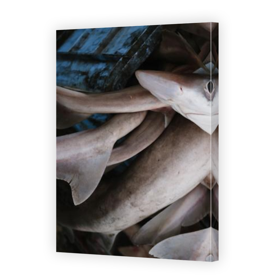 Thumbnail for Canvas - Mirror Image Canvas Wrap