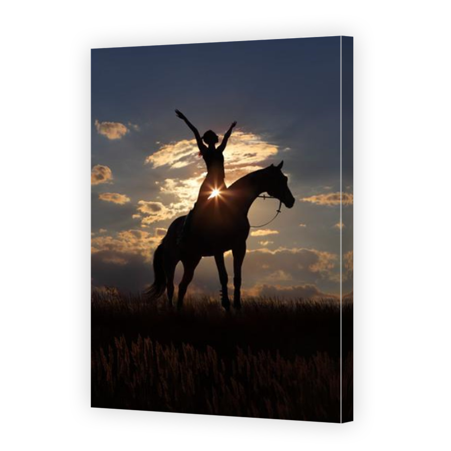 Thumbnail for Canvas - Mirror Image Canvas Wrap