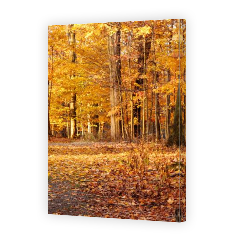 Thumbnail for Canvas - Mirror Image Canvas Wrap