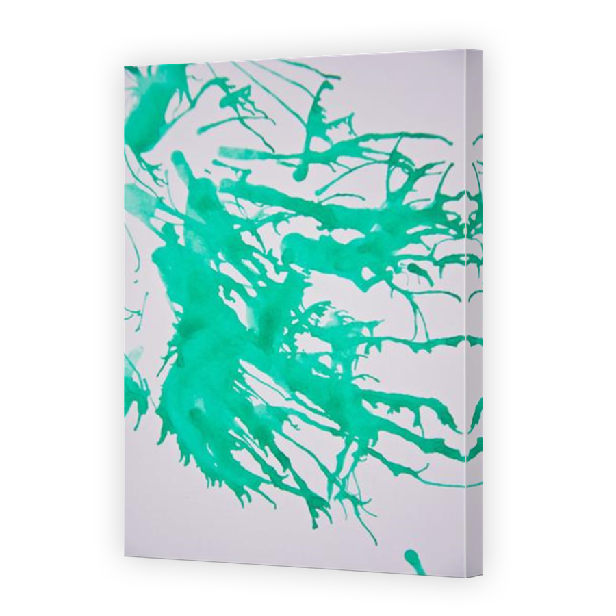 Thumbnail for Canvas - Mirror Image Canvas Wrap