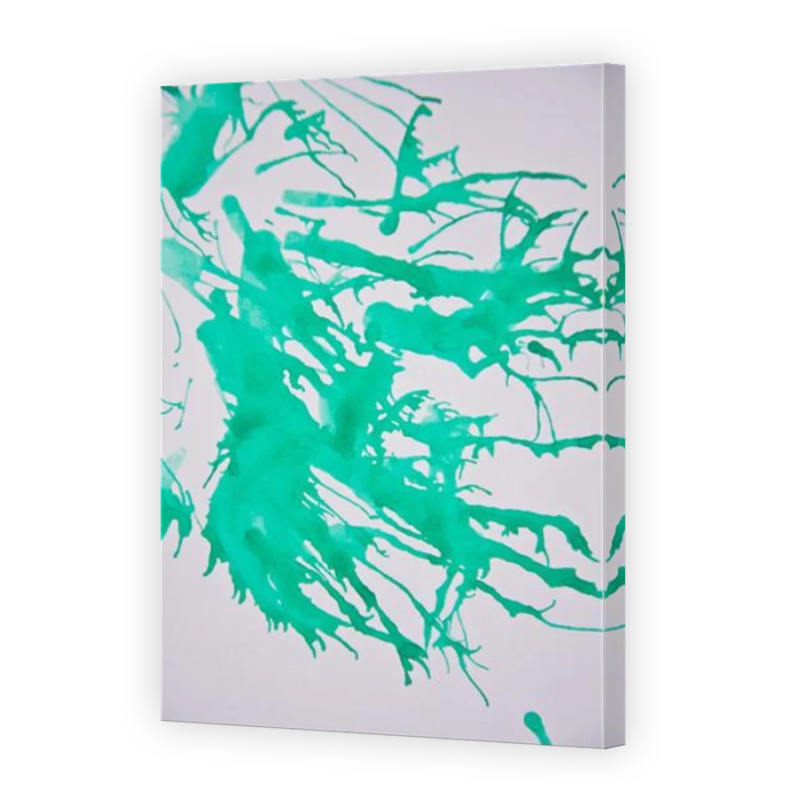 Thumbnail for Canvas - Mirror Image Canvas Wrap