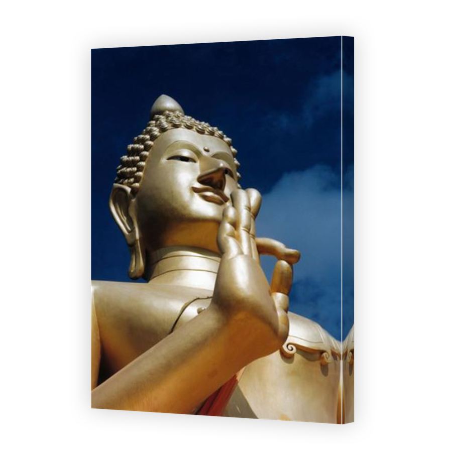 Thumbnail for Canvas - Mirror Image Canvas Wrap