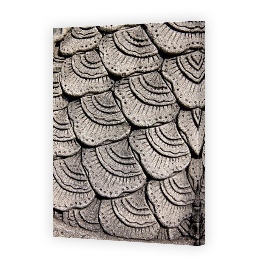 Thumbnail for Canvas - Mirror Image Canvas Wrap