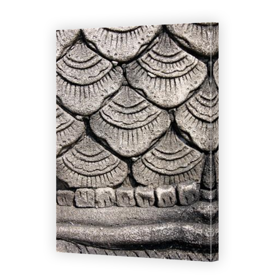 Thumbnail for Canvas - Mirror Image Canvas Wrap