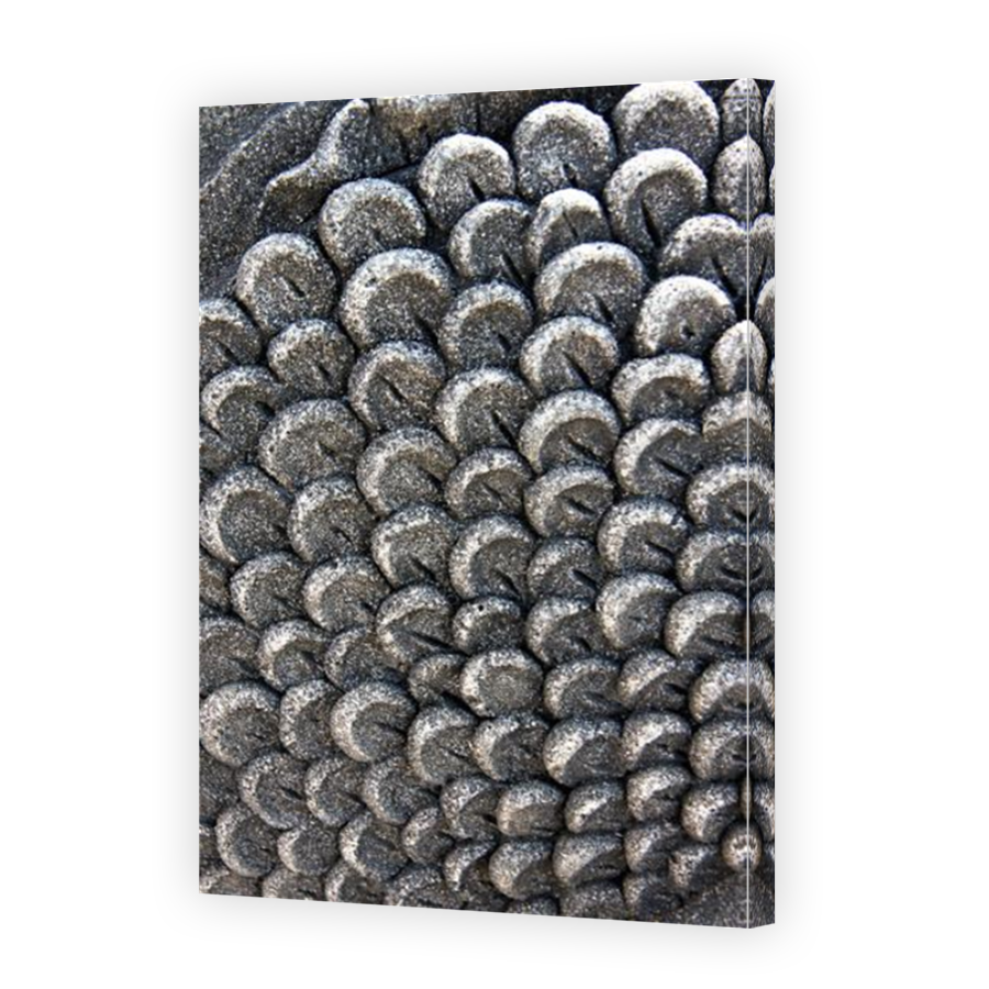 Thumbnail for Canvas - Mirror Image Canvas Wrap