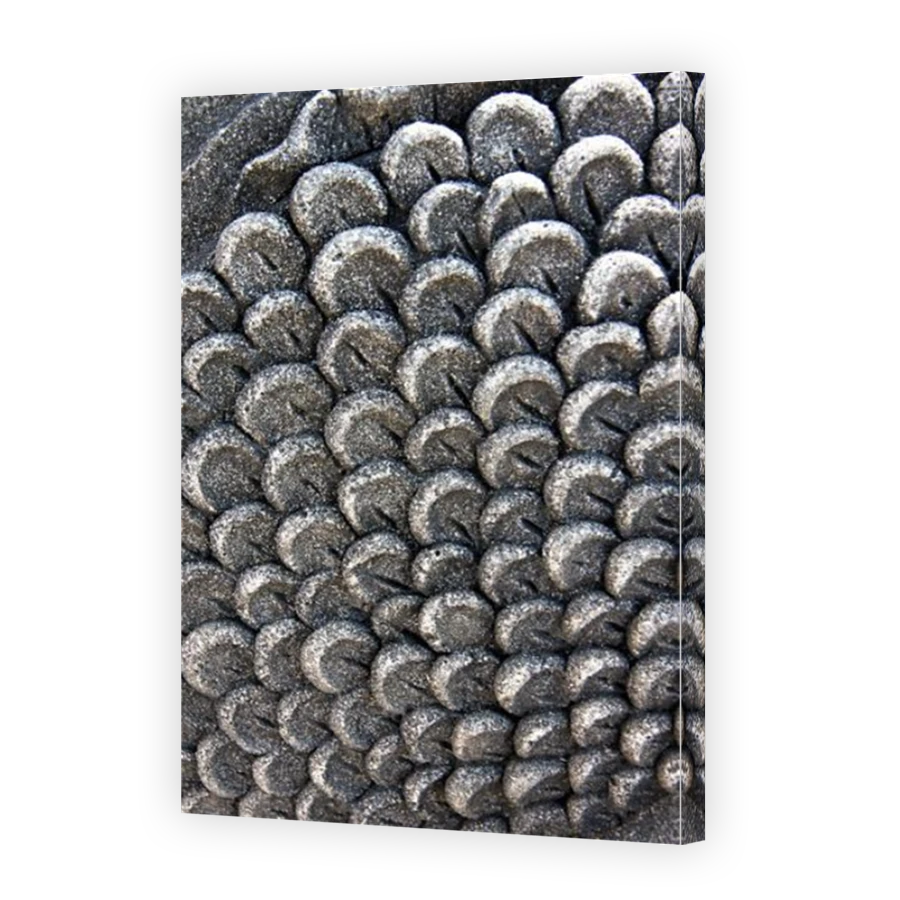 Thumbnail for Canvas - Mirror Image Canvas Wrap