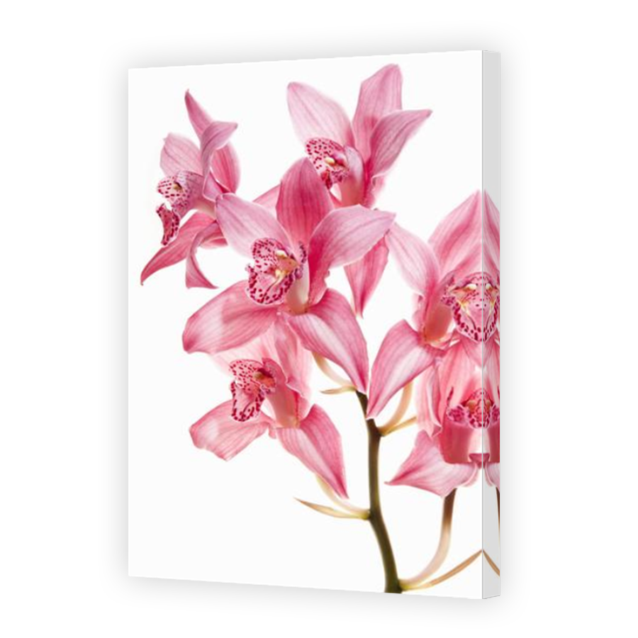 Thumbnail for Canvas - Mirror Image Canvas Wrap