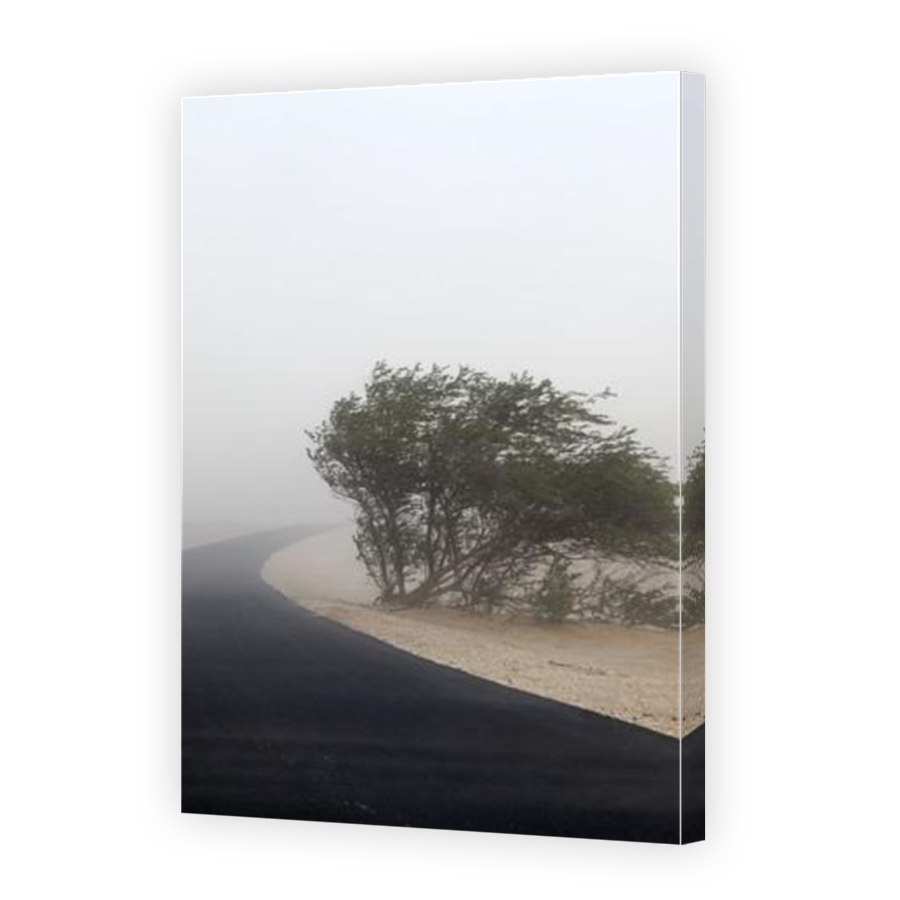 Thumbnail for Canvas - Mirror Image Canvas Wrap