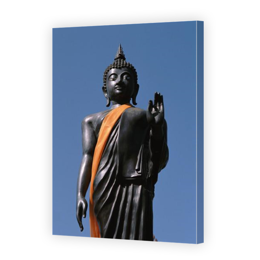 Thumbnail for Canvas - Mirror Image Canvas Wrap