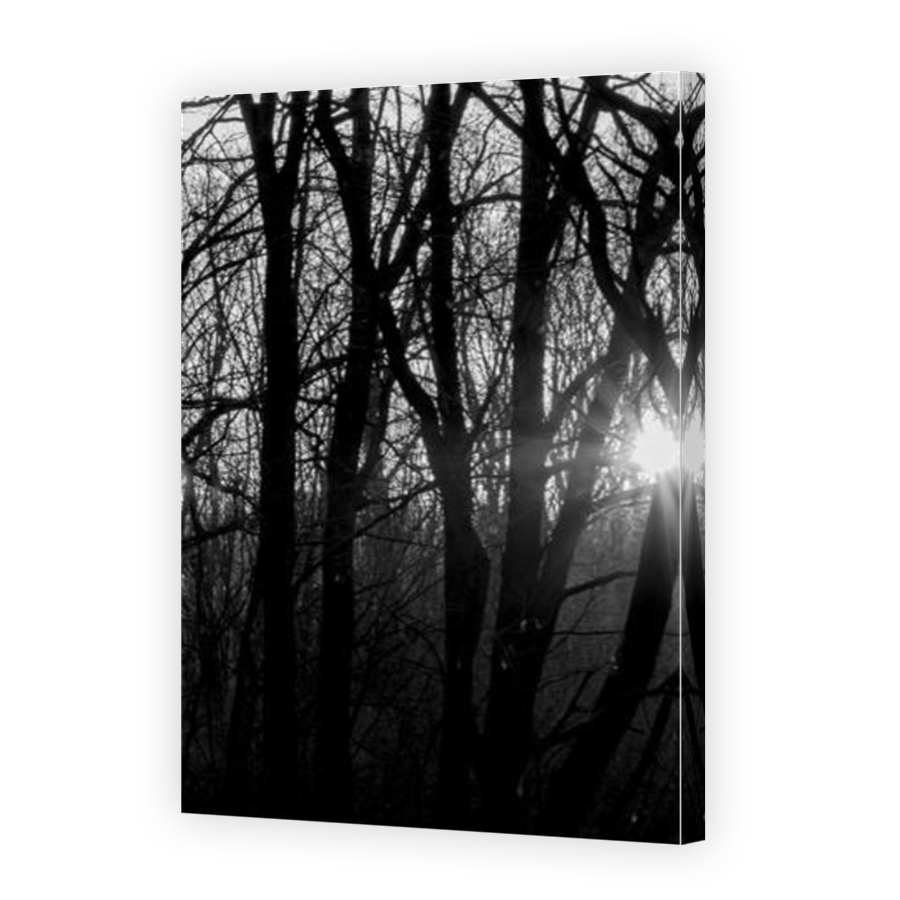 Thumbnail for Canvas - Mirror Image Canvas Wrap