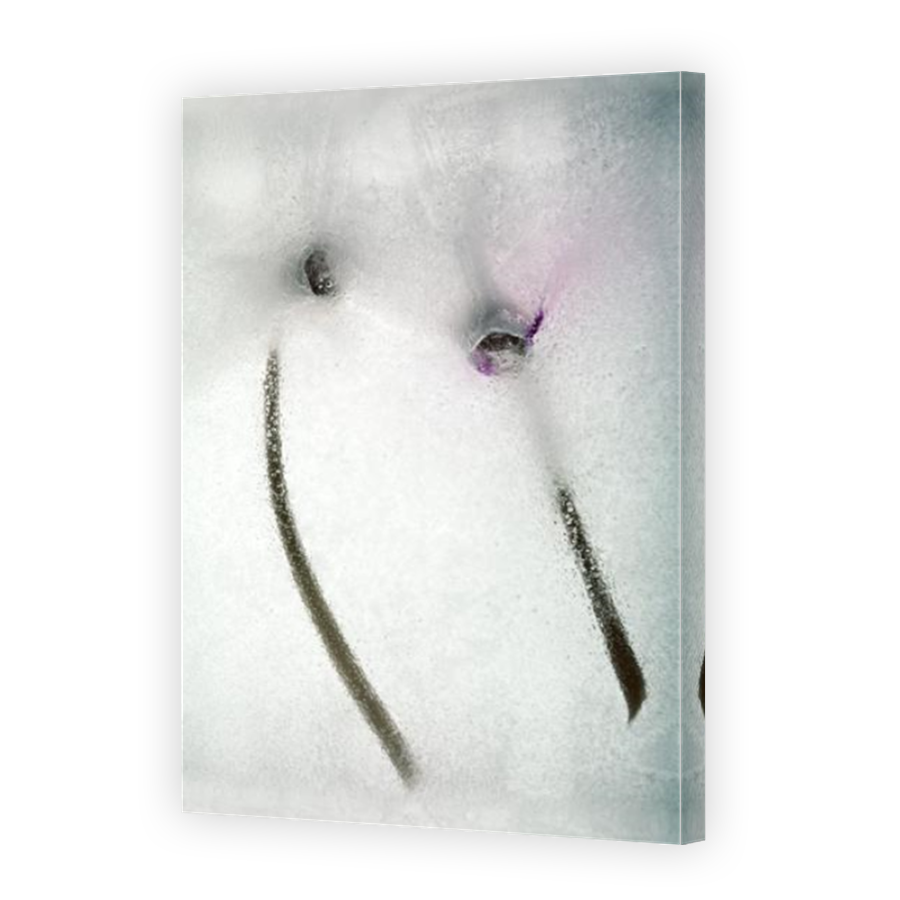 Thumbnail for Canvas - Mirror Image Canvas Wrap