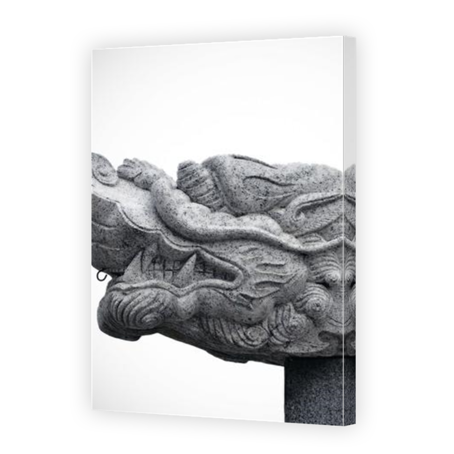 Thumbnail for Canvas - Mirror Image Canvas Wrap