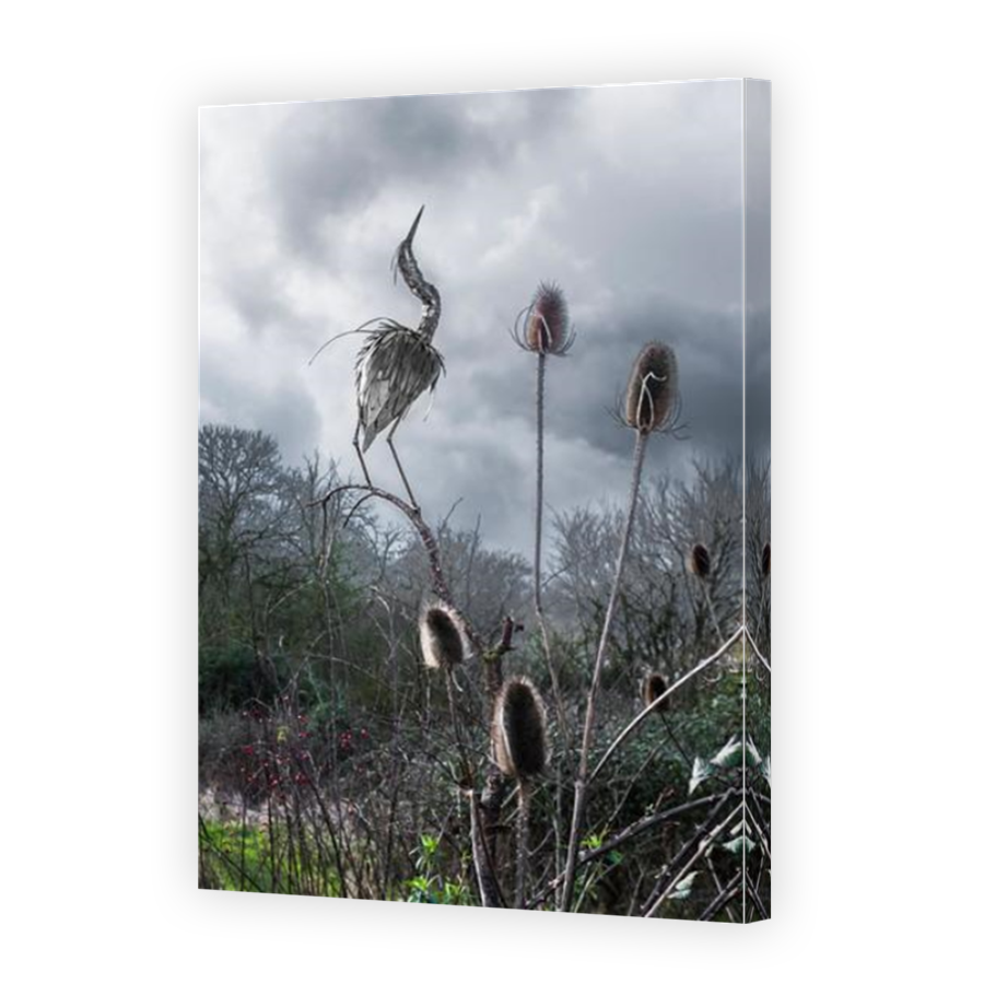 Thumbnail for Canvas - Mirror Image Canvas Wrap