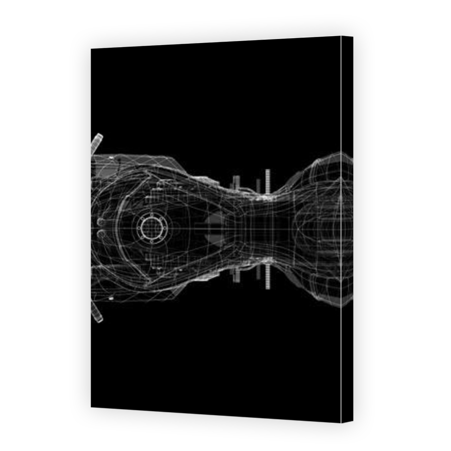 Thumbnail for Canvas - Mirror Image Canvas Wrap