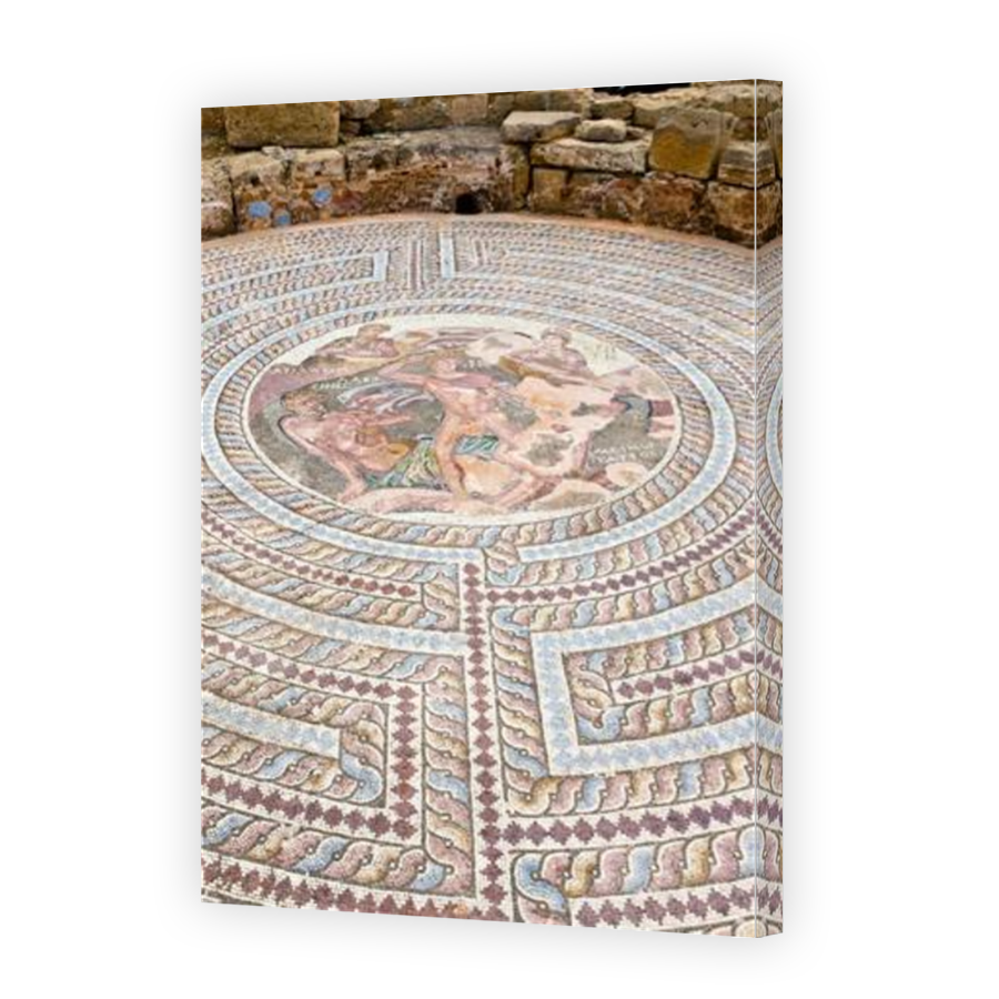 Thumbnail for Canvas - Mirror Image Canvas Wrap