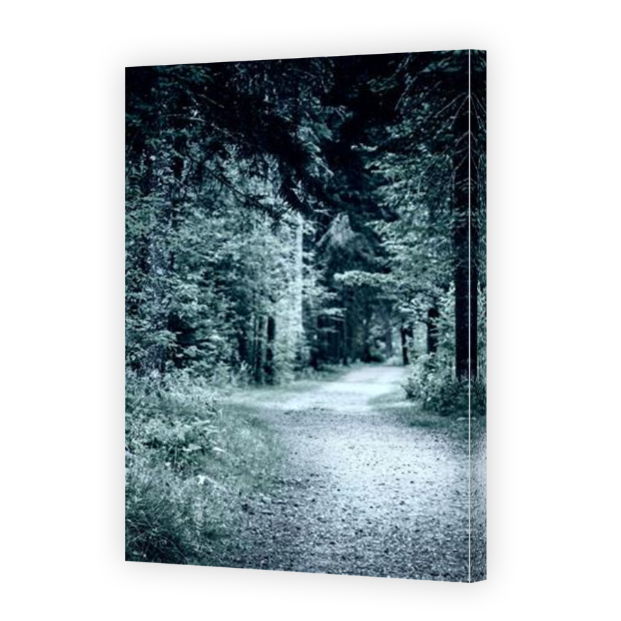 Thumbnail for Canvas - Mirror Image Canvas Wrap