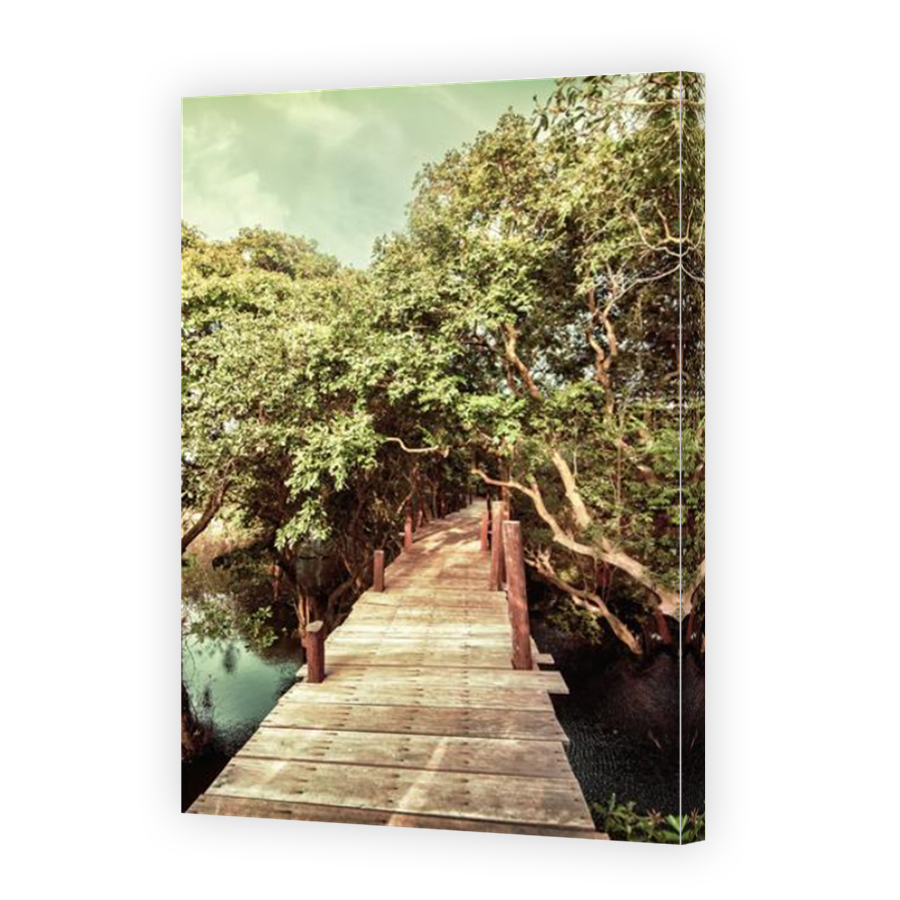 Thumbnail for Canvas - Mirror Image Canvas Wrap