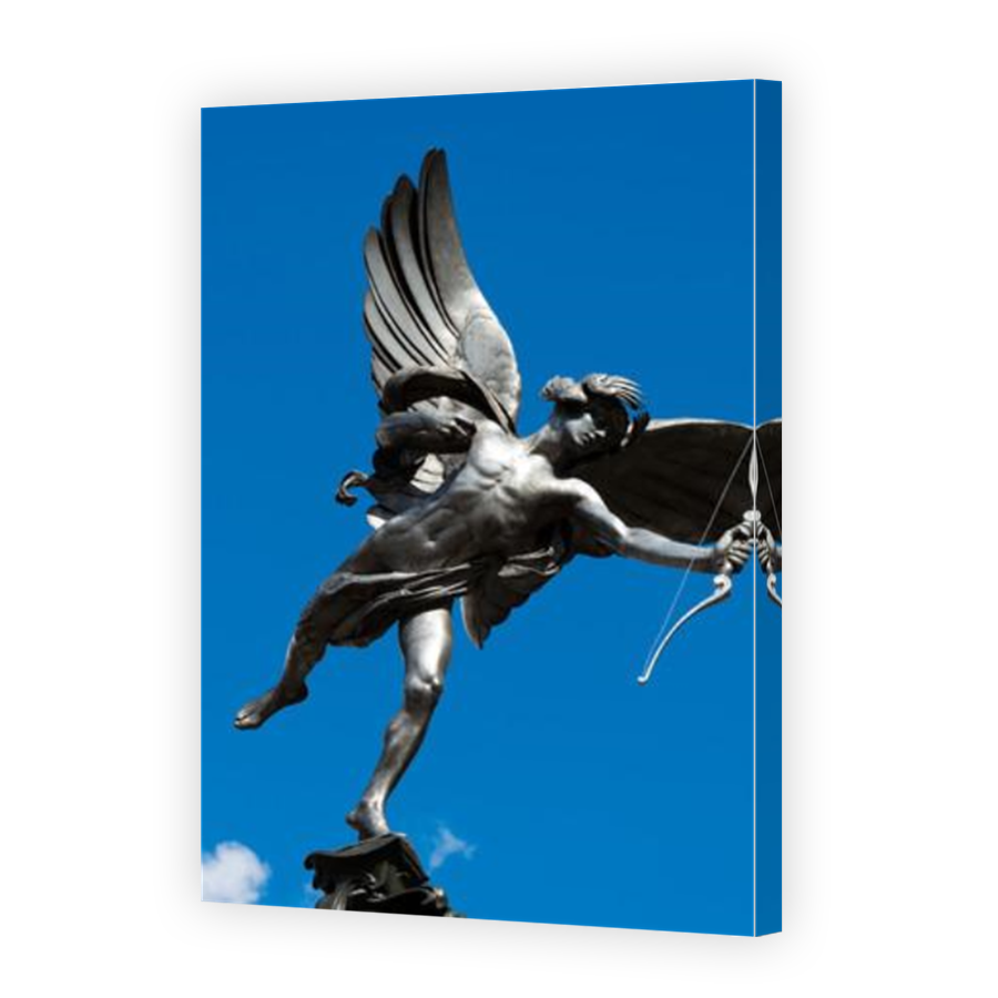 Thumbnail for Canvas - Mirror Image Canvas Wrap