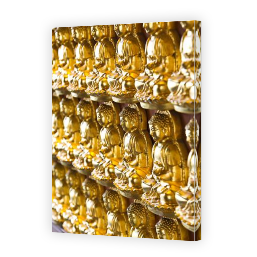 Thumbnail for Canvas - Mirror Image Canvas Wrap