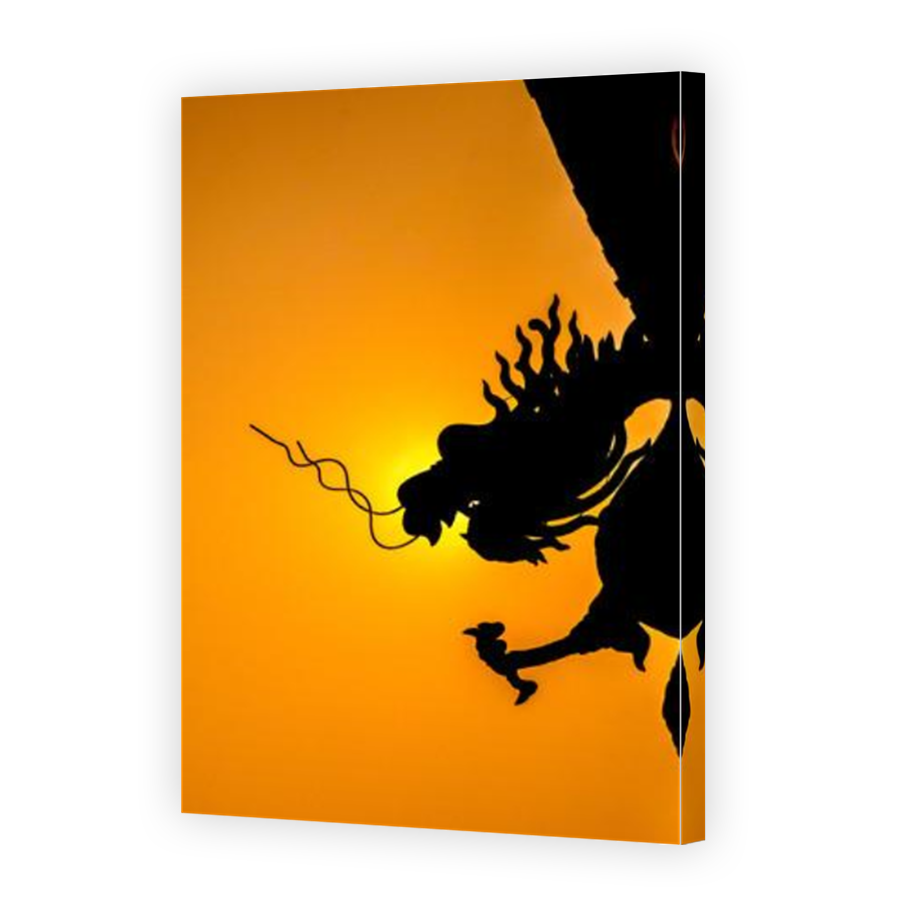 Thumbnail for Canvas - Mirror Image Canvas Wrap