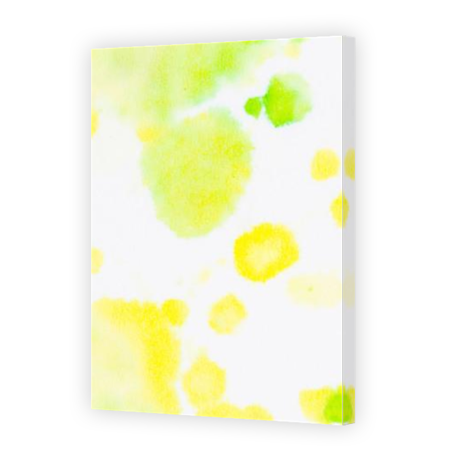 Thumbnail for Canvas - Mirror Image Canvas Wrap
