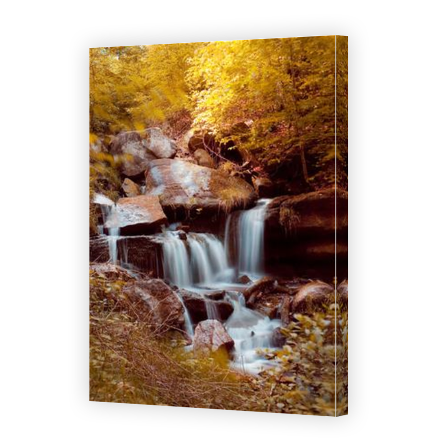Thumbnail for Canvas - Mirror Image Canvas Wrap