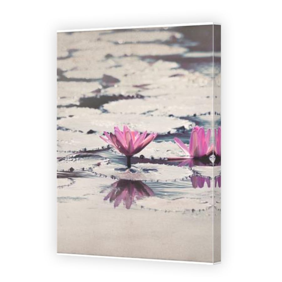 Thumbnail for Canvas - Mirror Image Canvas Wrap