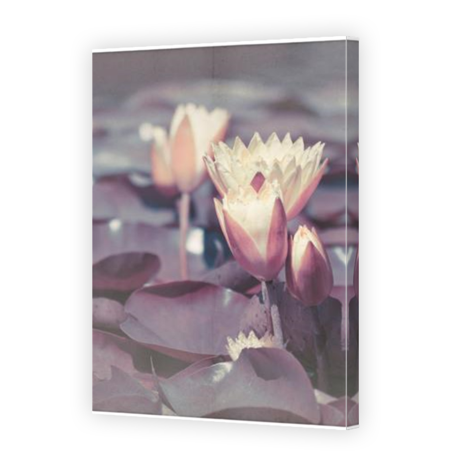 Thumbnail for Canvas - Mirror Image Canvas Wrap