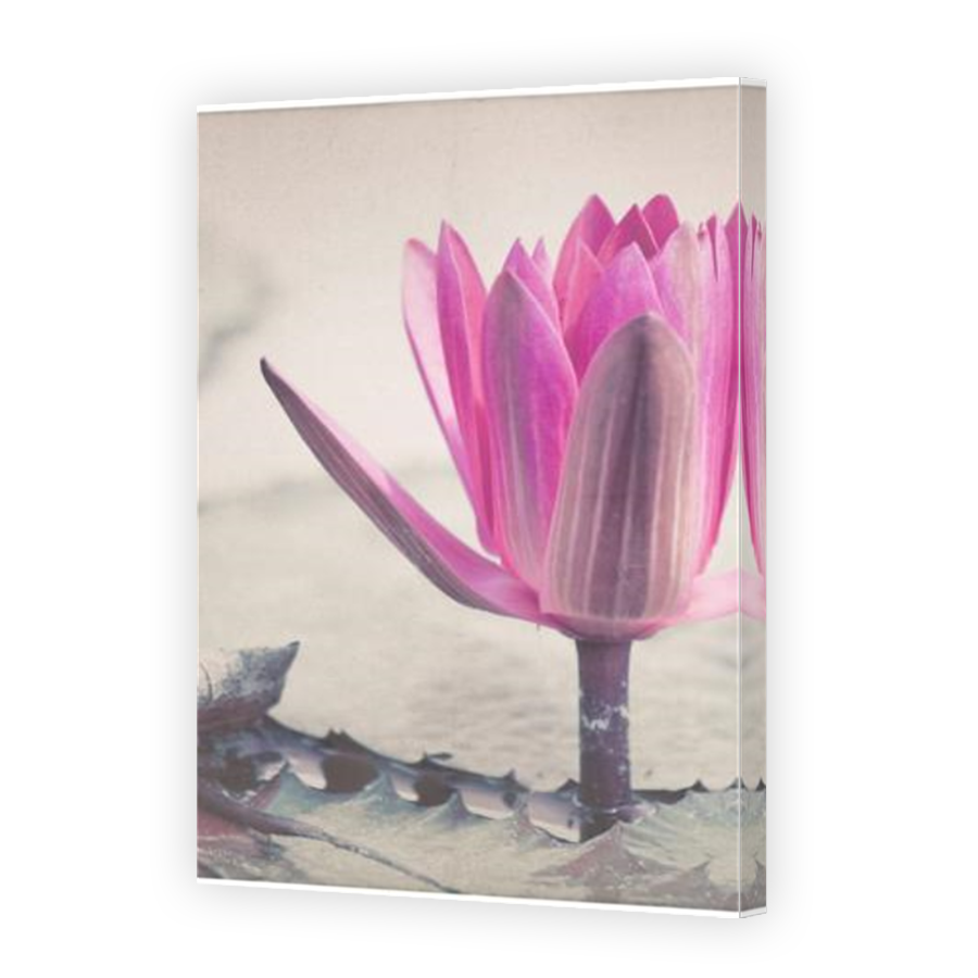 Thumbnail for Canvas - Mirror Image Canvas Wrap