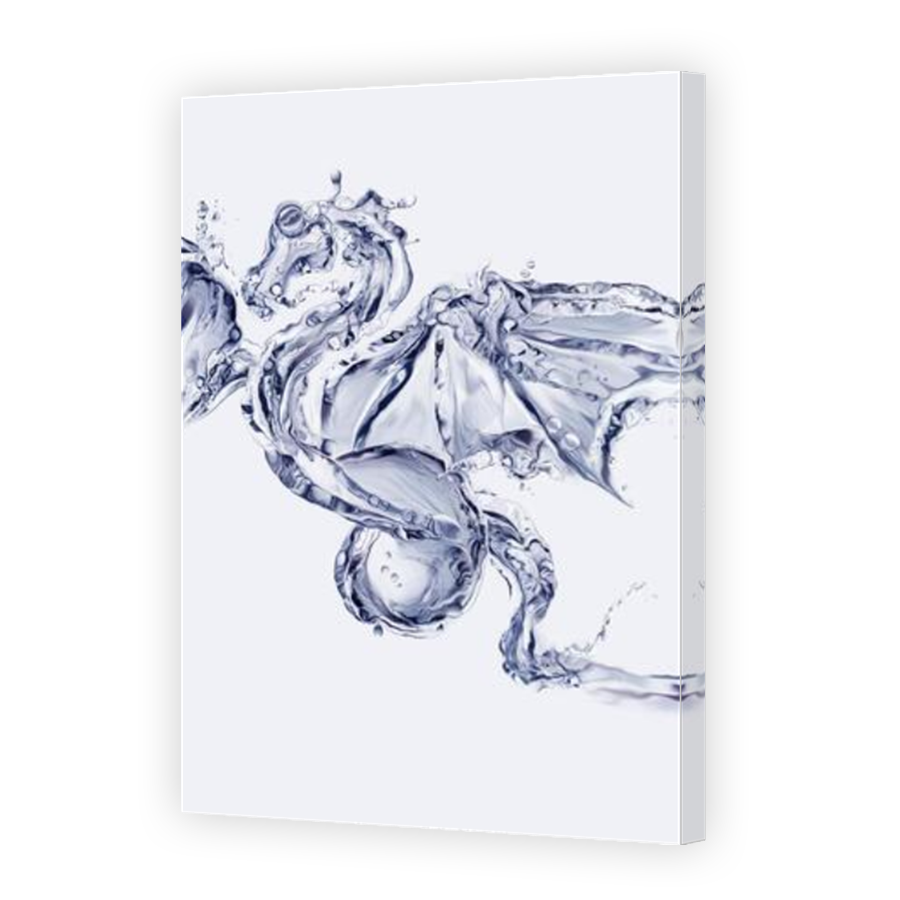 Thumbnail for Canvas - Mirror Image Canvas Wrap