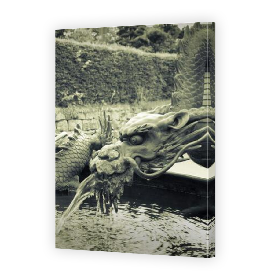 Thumbnail for Canvas - Mirror Image Canvas Wrap