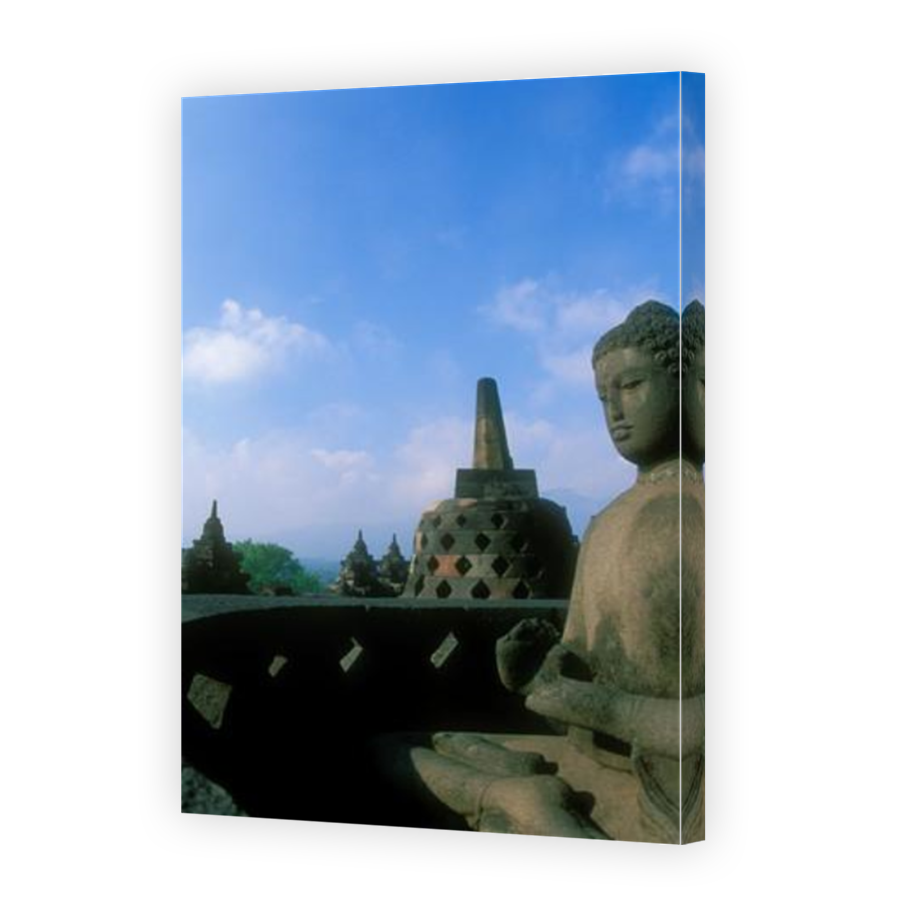 Thumbnail for Canvas - Mirror Image Canvas Wrap