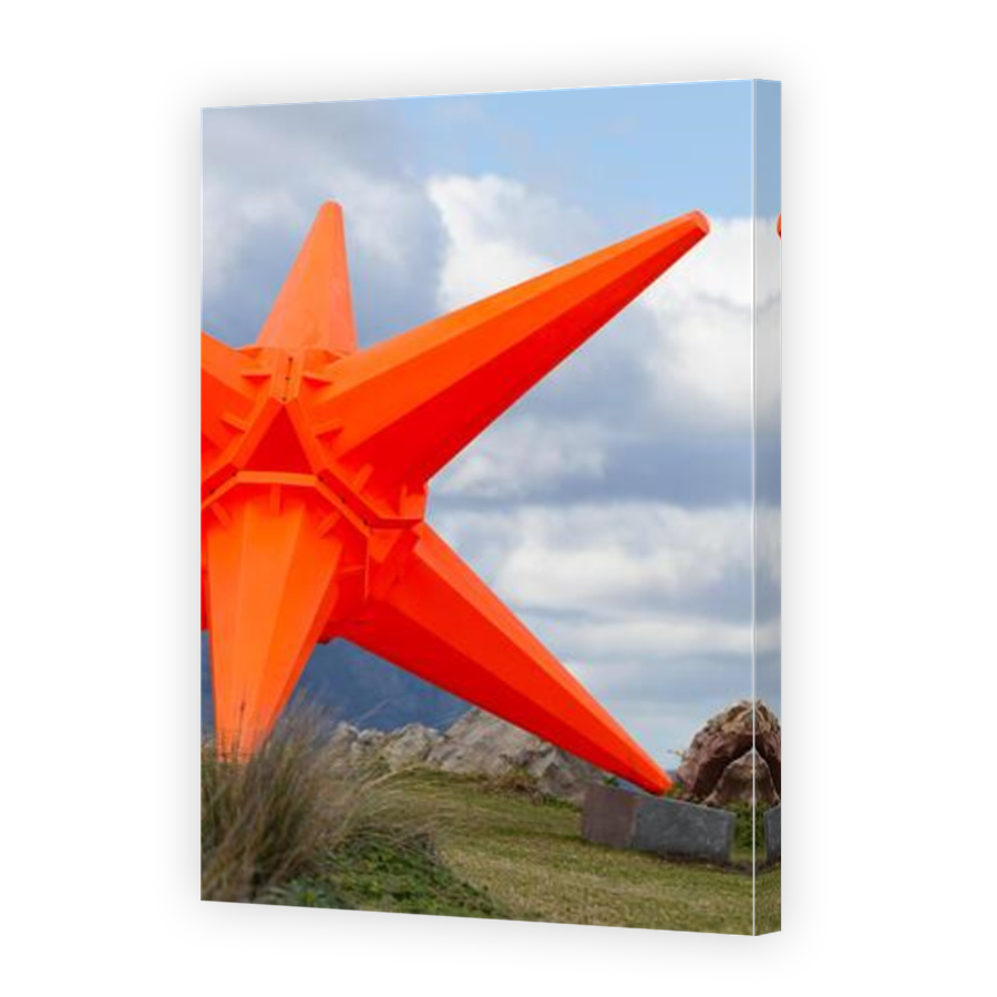 Thumbnail for Canvas - Mirror Image Canvas Wrap