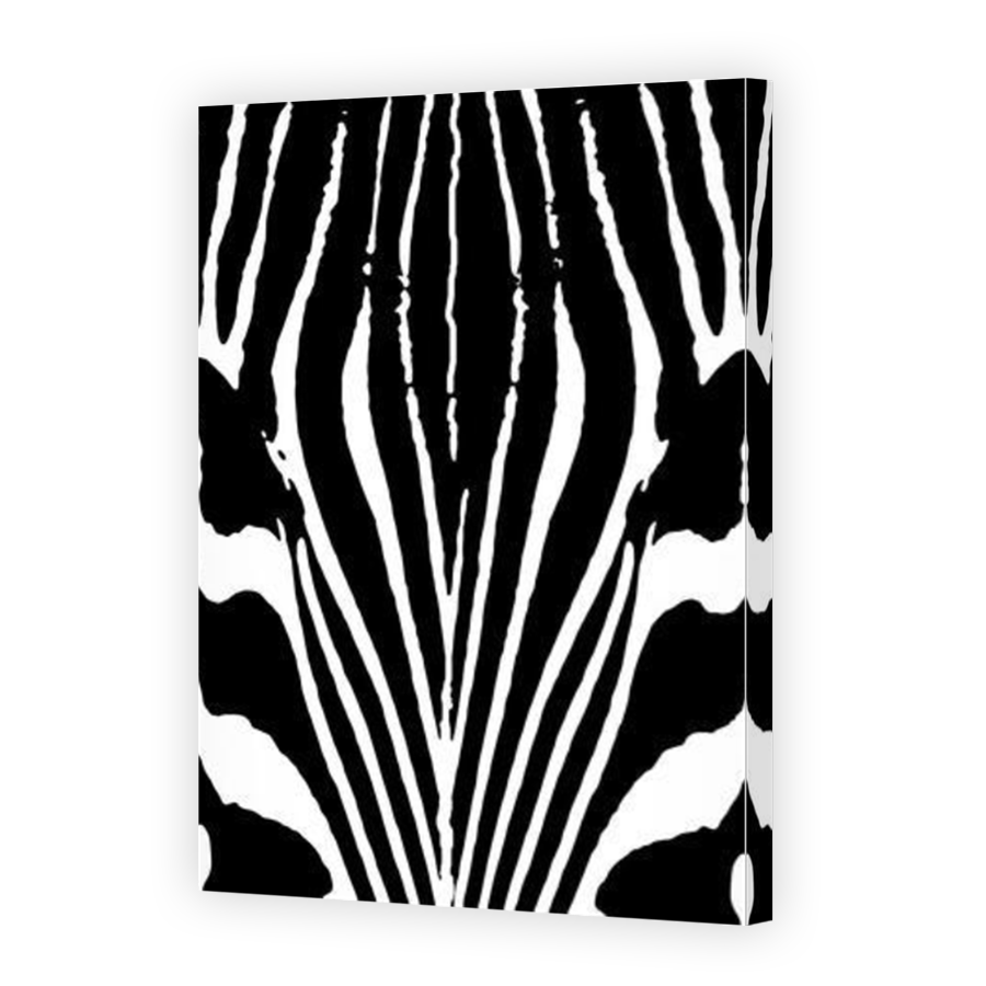 Thumbnail for Canvas - Mirror Image Canvas Wrap