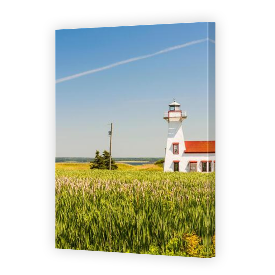Thumbnail for Canvas - Mirror Image Canvas Wrap