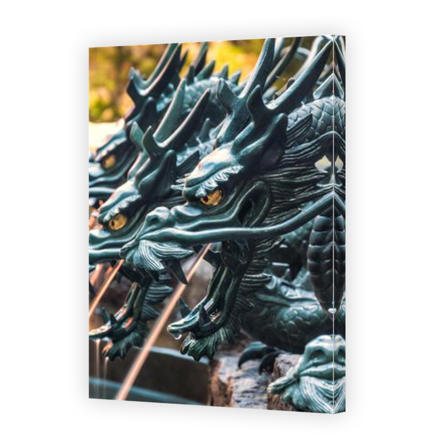 Thumbnail for Canvas - Mirror Image Canvas Wrap