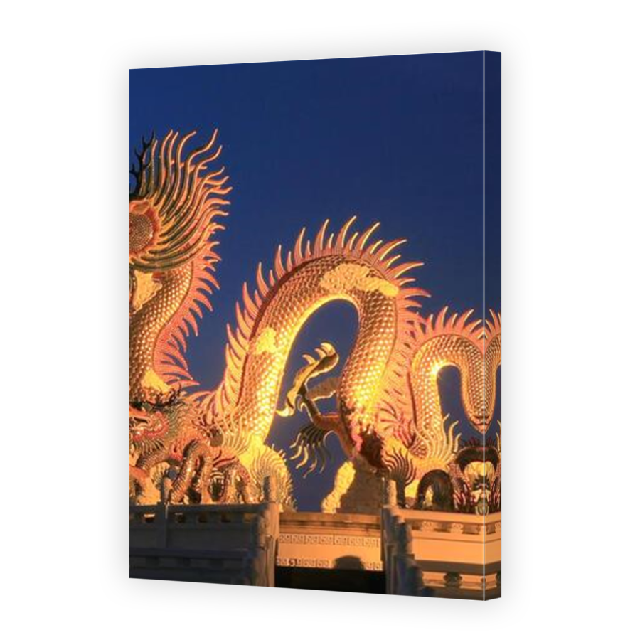 Thumbnail for Canvas - Mirror Image Canvas Wrap