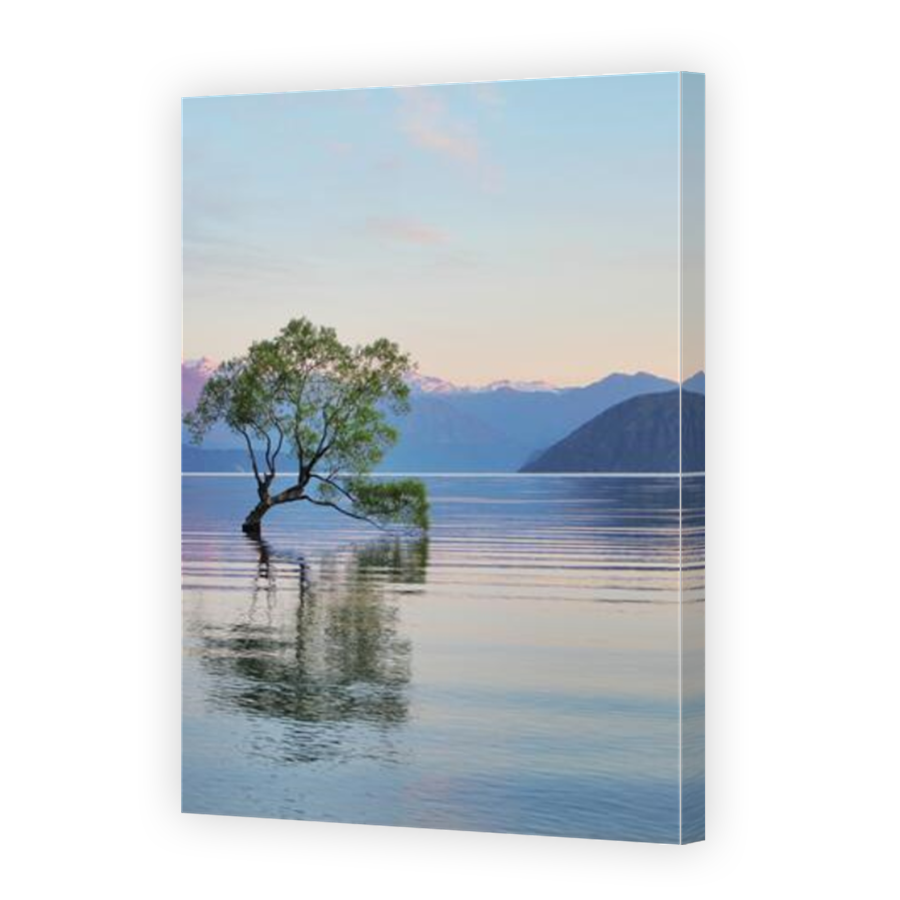 Thumbnail for Canvas - Mirror Image Canvas Wrap
