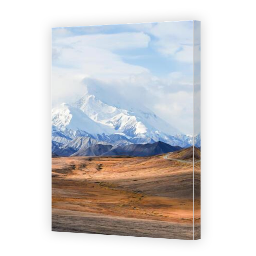 Thumbnail for Canvas - Mirror Image Canvas Wrap