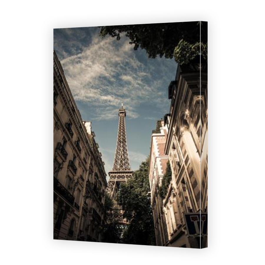 Thumbnail for Canvas - Mirror Image Canvas Wrap