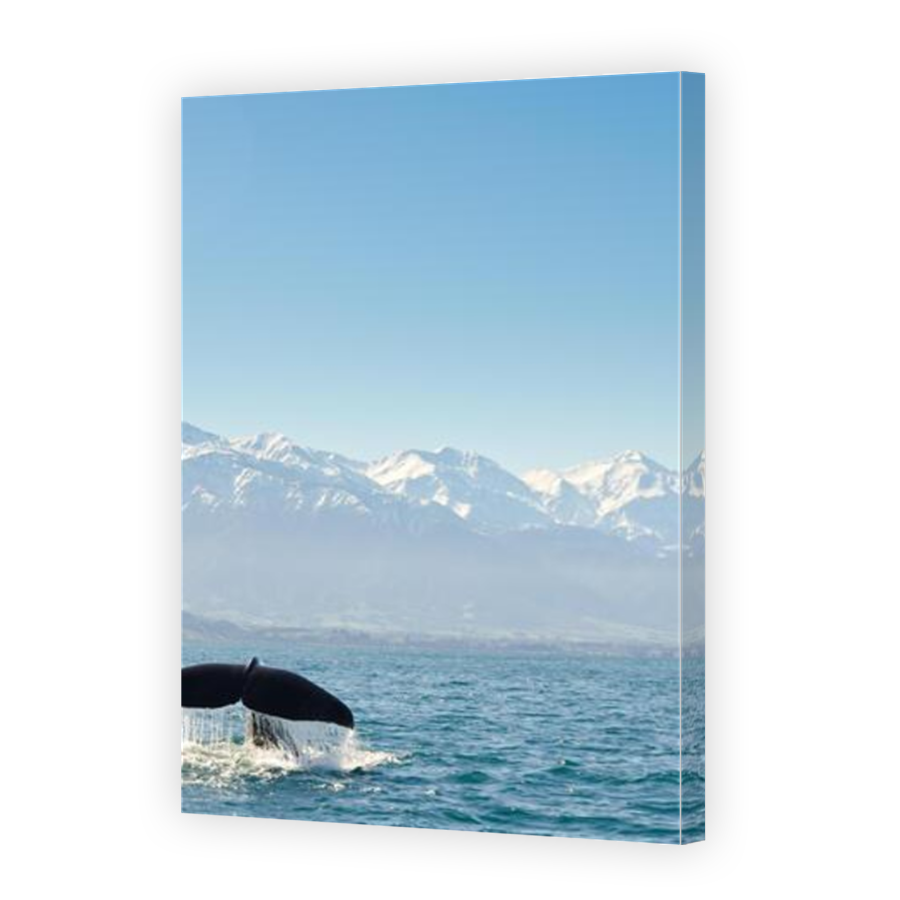 Thumbnail for Canvas - Mirror Image Canvas Wrap