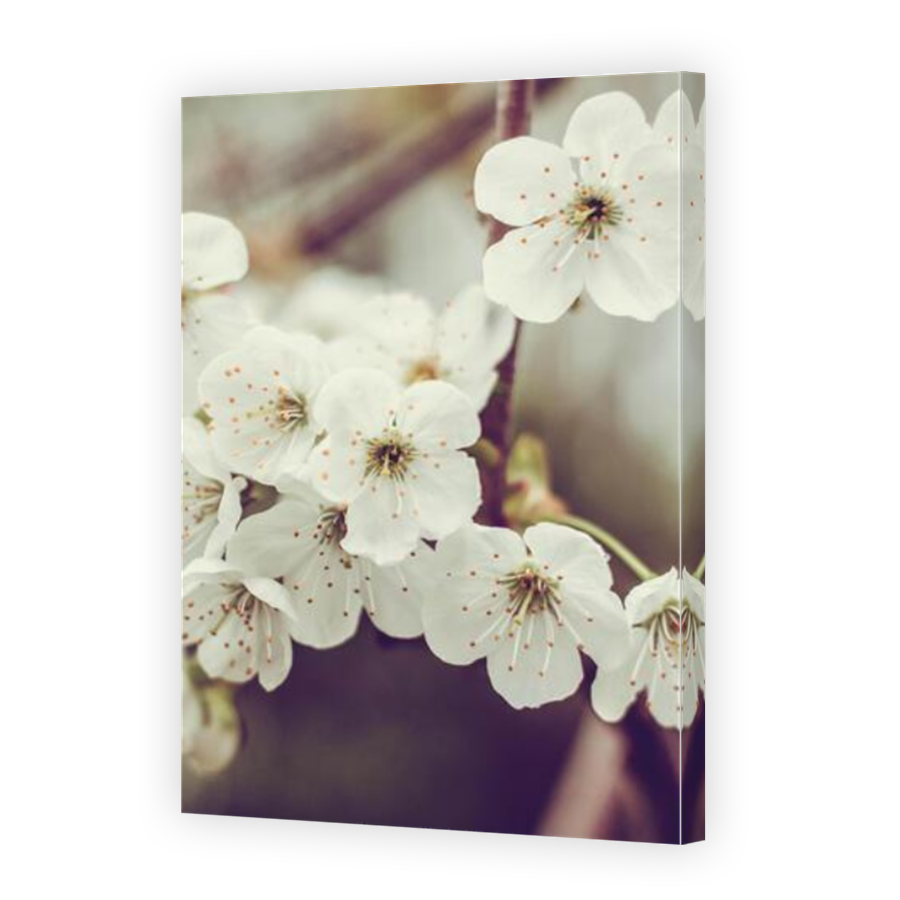 Thumbnail for Canvas - Mirror Image Canvas Wrap