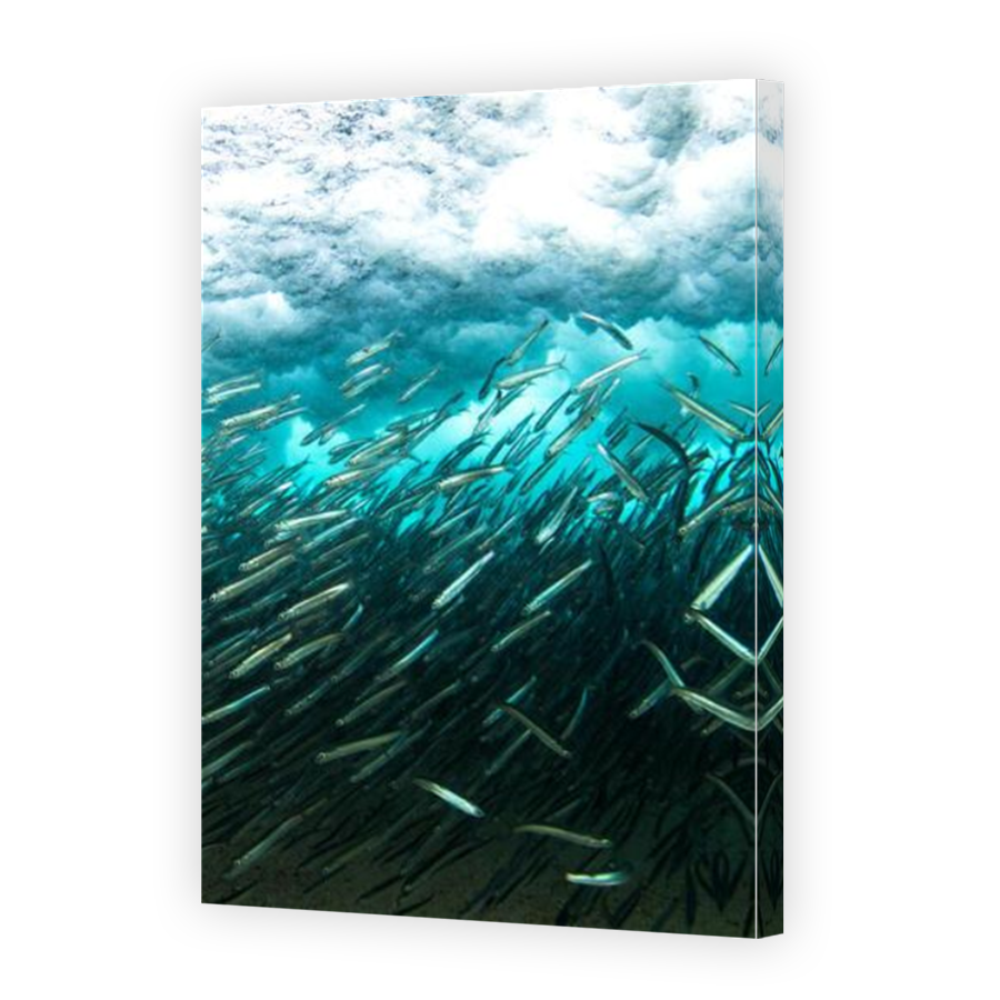 Thumbnail for Canvas - Mirror Image Canvas Wrap