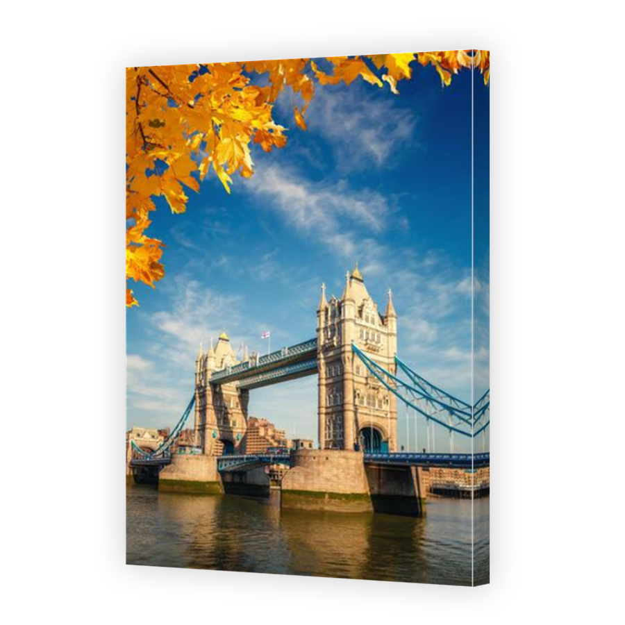 Thumbnail for Canvas - Mirror Image Canvas Wrap