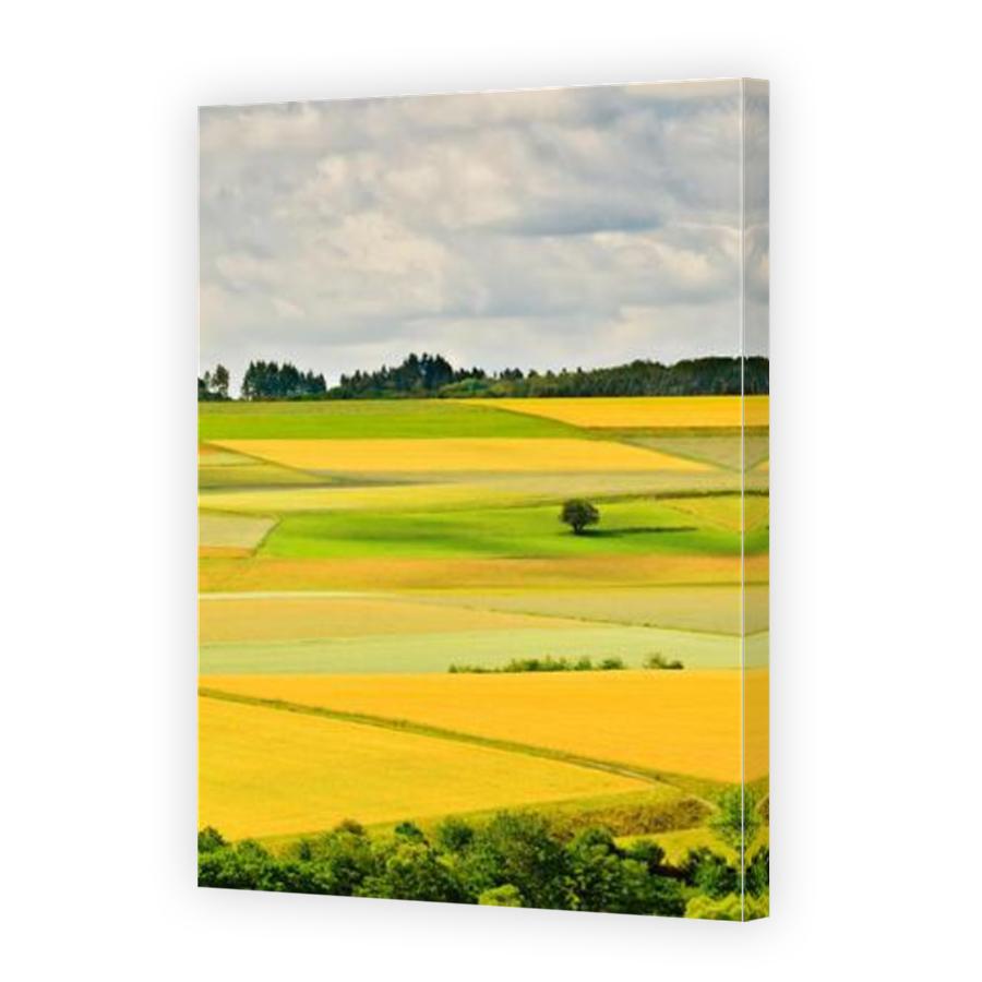 Thumbnail for Canvas - Mirror Image Canvas Wrap