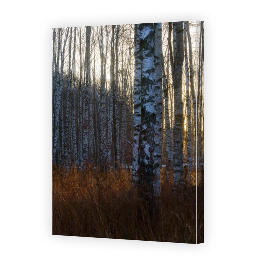 Thumbnail for Canvas - Mirror Image Canvas Wrap